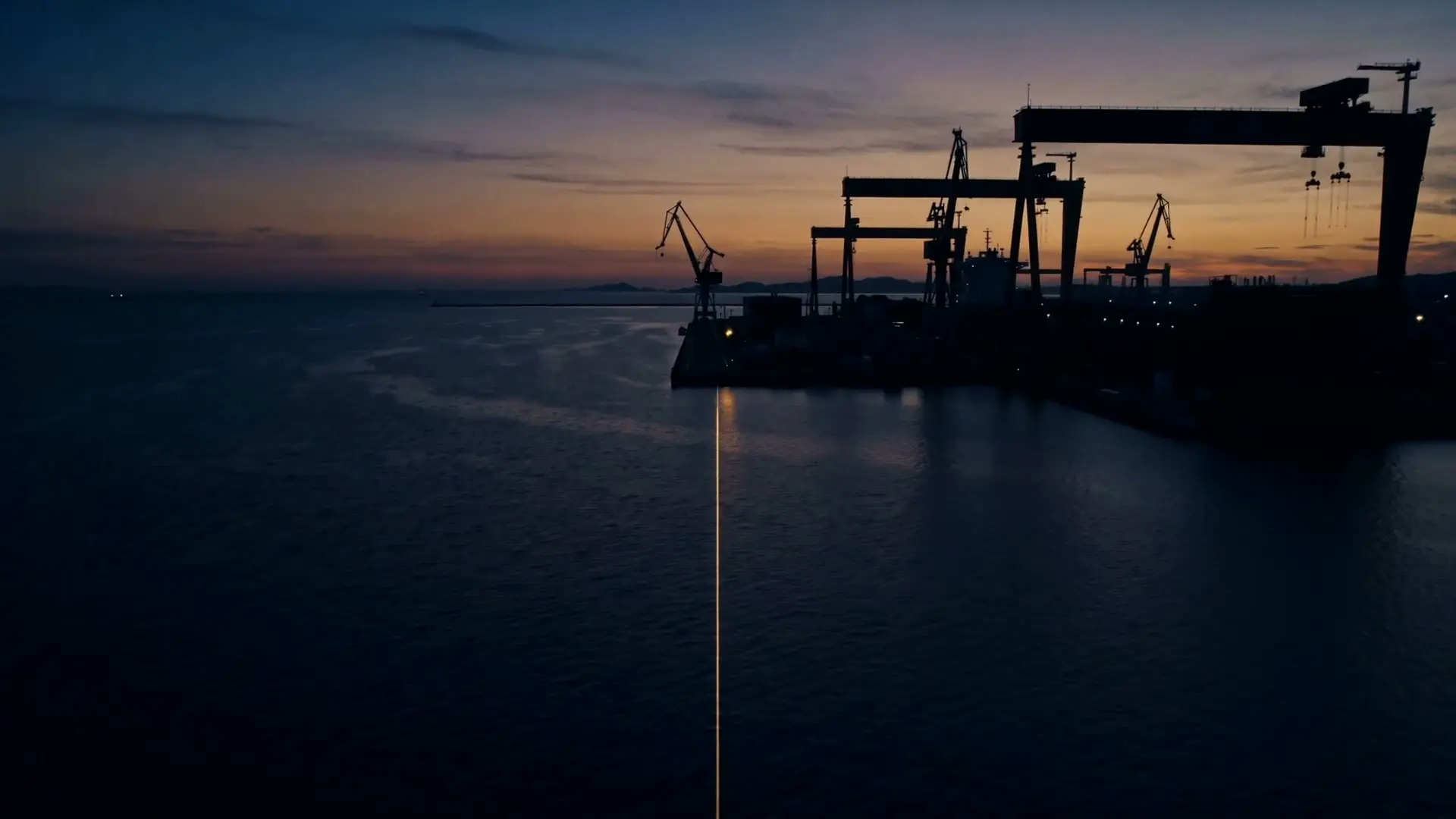 Goliath cranes on a Gulf coastline at dusk
